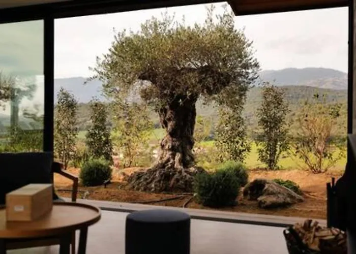 Wooden Horizon - Montagne 18 Pers 维琪奥港