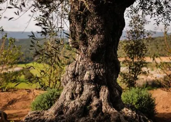 Wooden Horizon - Montagne 18 Pers 度假居 *